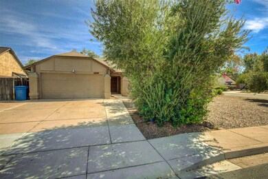 Mesquite (4)