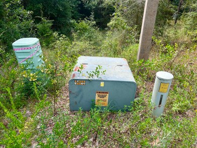 114 Tranquility Dr, Crestview, FL 32536 - photo 5