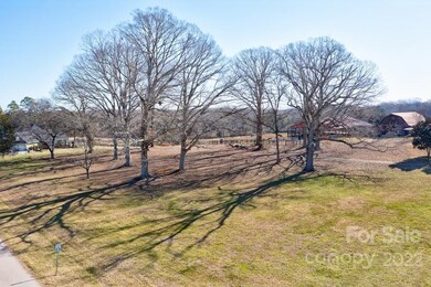 937 Stallion Spirit Trail, Clover, SC 29710 - photo 3