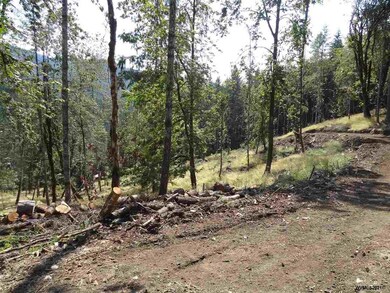 24845 Hidden Valley Rd, Philomath, OR 97370 - photo 5