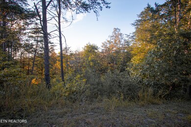 Fox Ridge Way Land-102