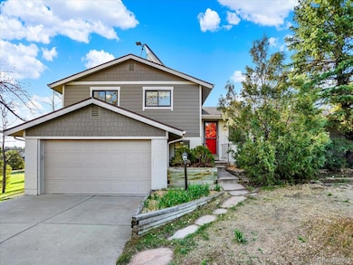 12798 Tomahawk Rd, Parker, CO 80138 - photo 4