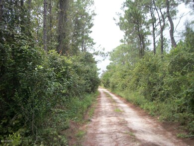 4730 Holly Rd, New Smyrna Beach, FL 32168 - photo 4