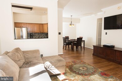 44184 Shady Glen Terrace, Ashburn, VA 20147 - photo 6