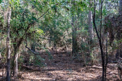 1011 Hunters Creek Way, Hockley, TX 77447 - photo 4