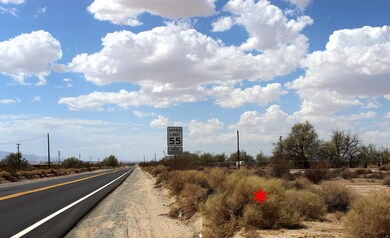 AMBOY 7