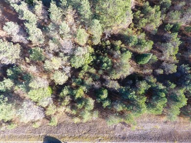 DJI_0078
