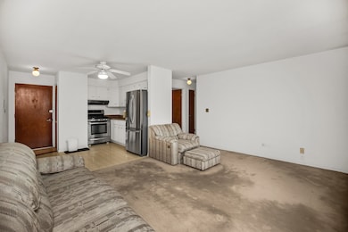 2521 N Thatcher Ave unit 3A, River Grove, IL 60171 - photo 6