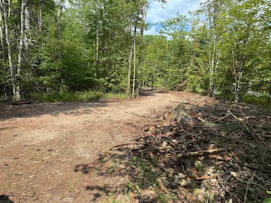 Level driveway Access from Powder Mill Rd.