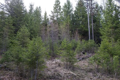 386 Rachael Meadow Ln, Kila, MT 59920 - photo 7