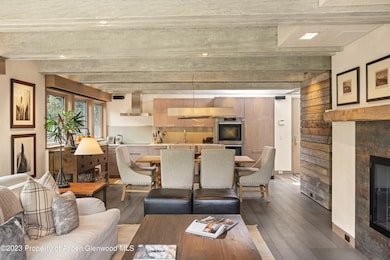 525 S Original St unit F, Aspen, CO 81611 - photo 6