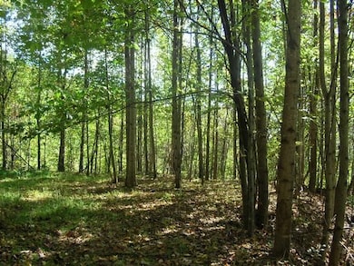 0 Highway 321, Blowing Rock, NC 28605 - photo 6