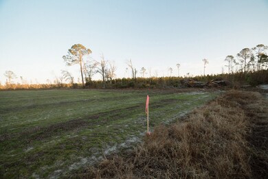 00 Chesapeak Rd, Alma, GA 31510 - photo 2