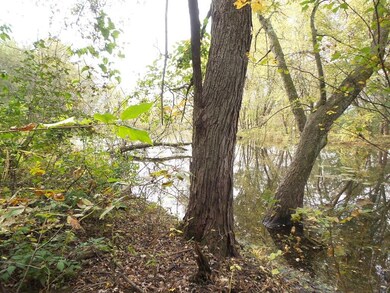 0 (Lot 4) Lake Rd, Trempealeau, WI 54661 - photo 3