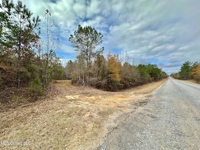 2 County Road 3122, McCool, MS 39108 - photo 3