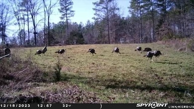 000 Enon Rd, Bolivar, TN 38008 - photo 2