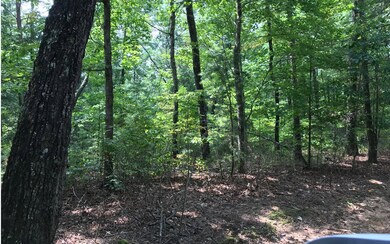Additional View