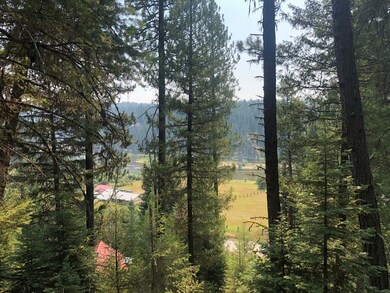 Payette River & Mountain Views