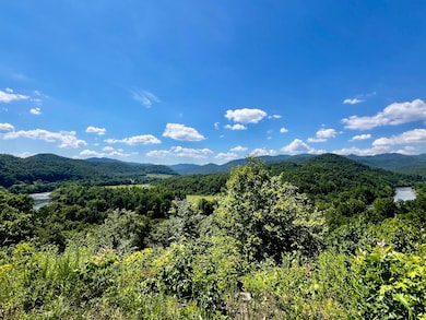 1272 Peach Orchard Way, Del Rio, TN 37727 - photo 5