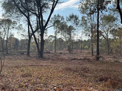 Lot 4 TBD County Road 4108, Henderson, TX 75654 - photo 5