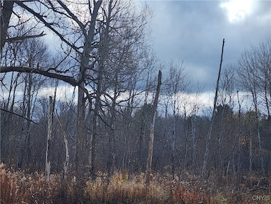 0 New York 294, Boonville, NY 13309 - photo 5