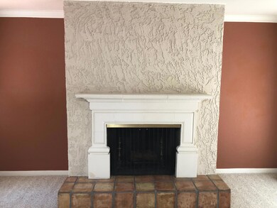 Wood Burning Fireplace