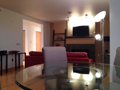 15 S Broom St unit 205, Madison, WI 53703 - photo 4