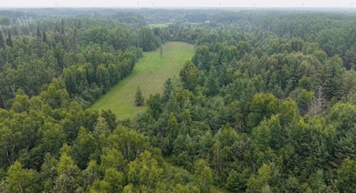 TBD Tangnes Forest Rd, Southeast Roseau Unorg. Terr., MN 56673 - photo 4