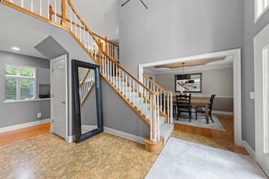 816 Spindletree Ave, Naperville, IL 60565 - photo 4