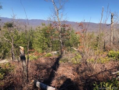 33 Dobsons Knob Loop Rd unit 33, North Cove, NC 28752 - photo 6