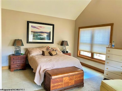 339 Slopeside Rd, Davis, WV 26260 - photo 4