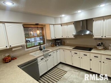 220 E Illini St, Virginia, IL 62691 - photo 3