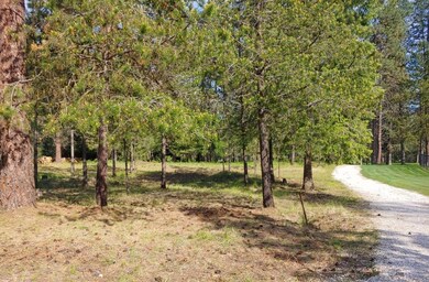 Access Rd borders lot