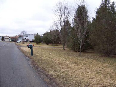 Land. Street scene.