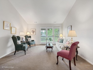 510 Banyon Ln unit C, La Grange, IL 60525 - photo 5