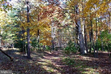 63 +/- Acres Off Needmore Rd, Baker, WV 26801 - photo 4