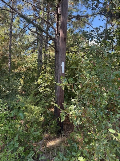 4915 Farm To Market 227, Grapeland, TX 75844 - photo 5