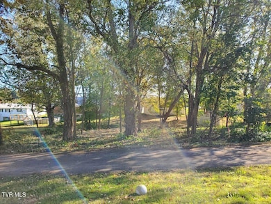 0 Iris St E, Mosheim, TN 37818 - photo 3