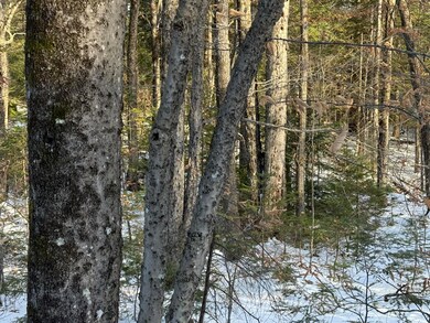 R6L9 Dickey Mills Rd, Avon, ME 04966 - photo 6