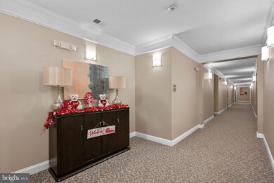 41895 Cathedral Valley Square unit 309, Aldie, VA 20105 - photo 6