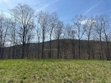 VL Avery Hollow Rd, Cohocton, NY 14826 - photo 3