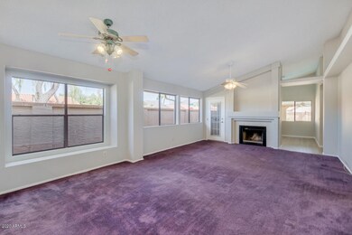 North facing windows!