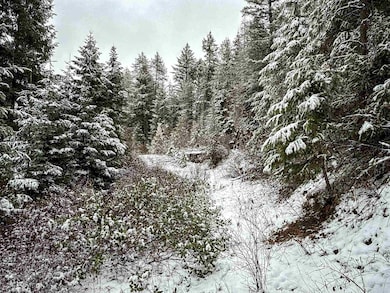 NKA Deer Creek Rd, Valley, WA 99181 - photo 5