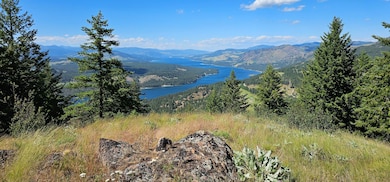 41XX Bissel Rd, Hunters, WA 99137 - photo 3