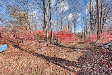 Nice Walking Trail on Property
