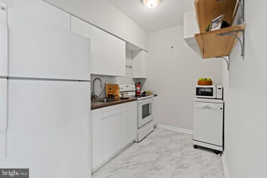 Boston House unit 331, Washington, DC 20036 - photo 7