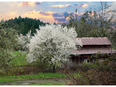 13756 Buckhorn Rd, Glide, OR 97443 - photo 2