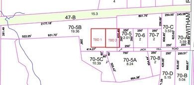 Map image with added lots