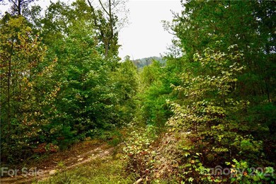 Lot 10 Dobsons Knob Loop Rd unit 10, North Cove, NC 28752 - photo 6