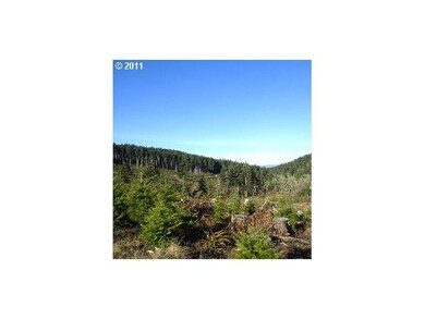 23495 Gooseneck Rd, Sheridan, OR 97378 - photo 5